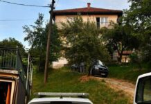 Javno reagovanje: O ubistvu Alme Kadić