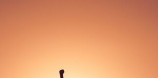 Šta možete očekivati ako prijavite nasilje u porodici