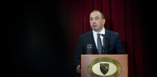Crnadak: Posjeta Lavrova nije miješanje Rusije u izbore u BiH
